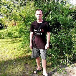 Vladimir, 42 года, Красный Лиман