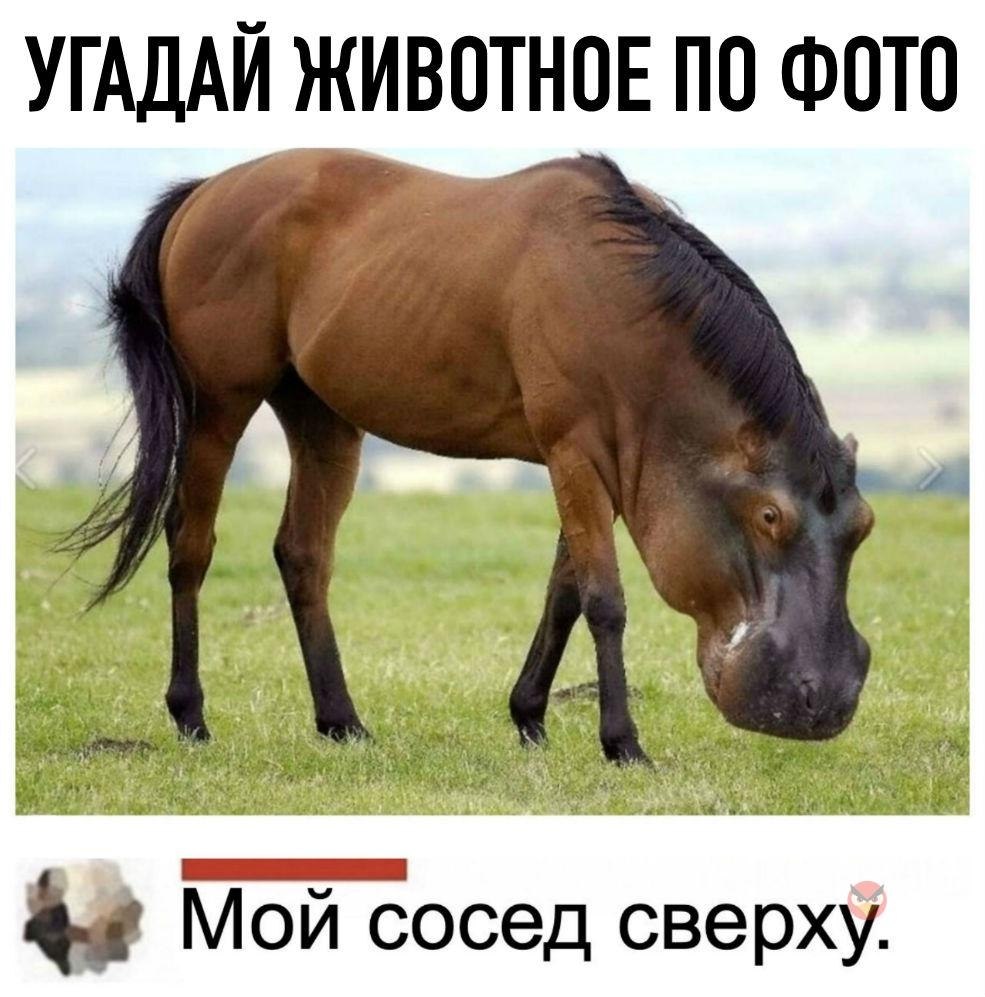 Угадай по фотографии кто это