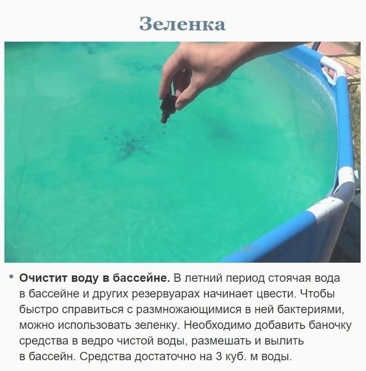 Что делать чтобы не цвела вода. Зеленка в бассейн. Для очистки бассейна зеленка. Зеленая вода в бассейне.