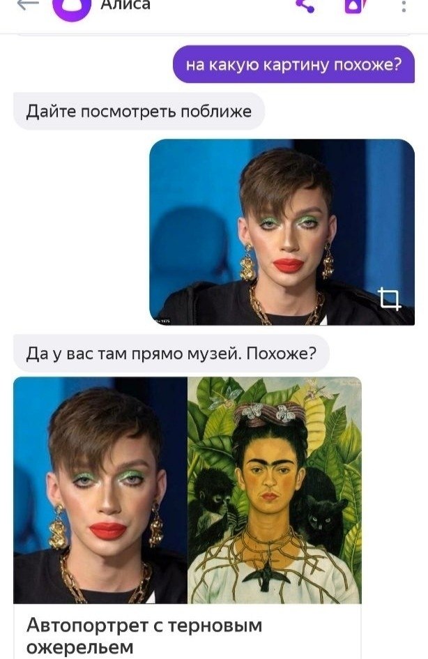 Спросить алису по фото