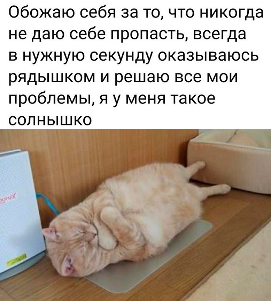 Чем сам себе. Сам себя не похвалишь никто не похвалит. Никогда не хвалю себя просто так вот такой я молодец. Никогда не хвалю себя. Никогда не хвалю себя просто.