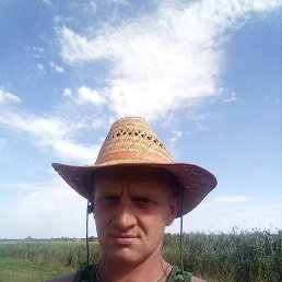 Сергей, 37 лет, Царичанка