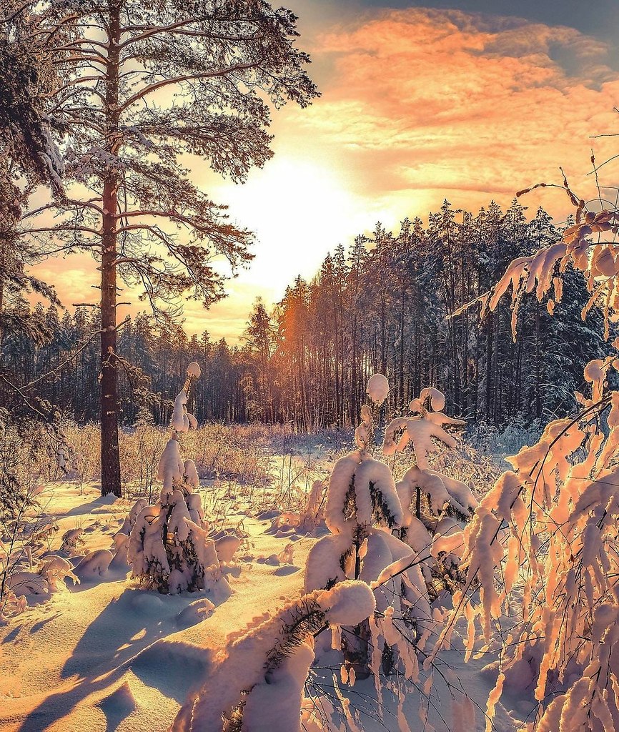 Зимние шедевры природы фото