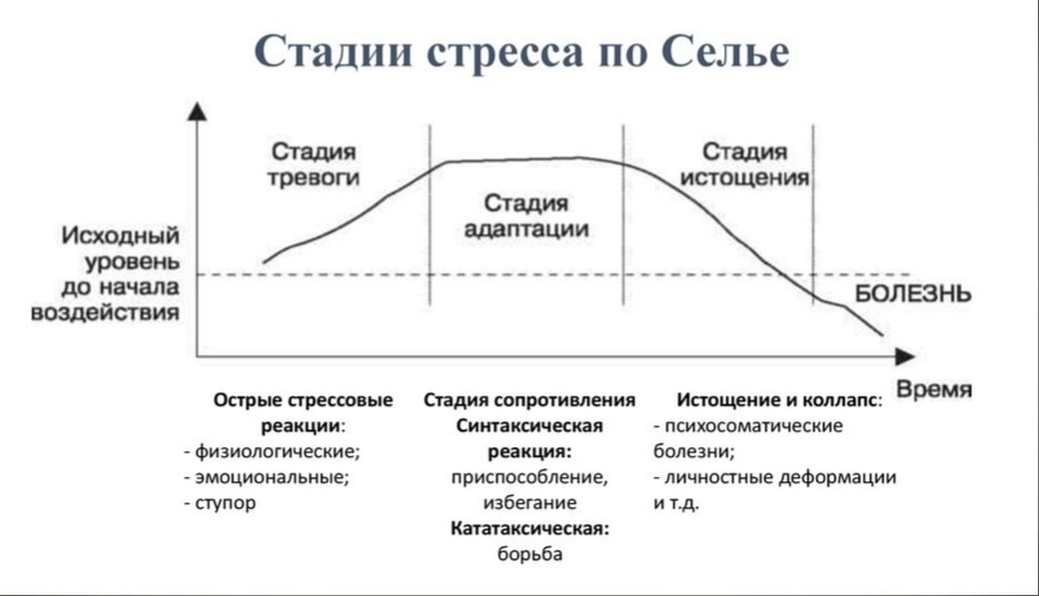 Стадии стресса схема