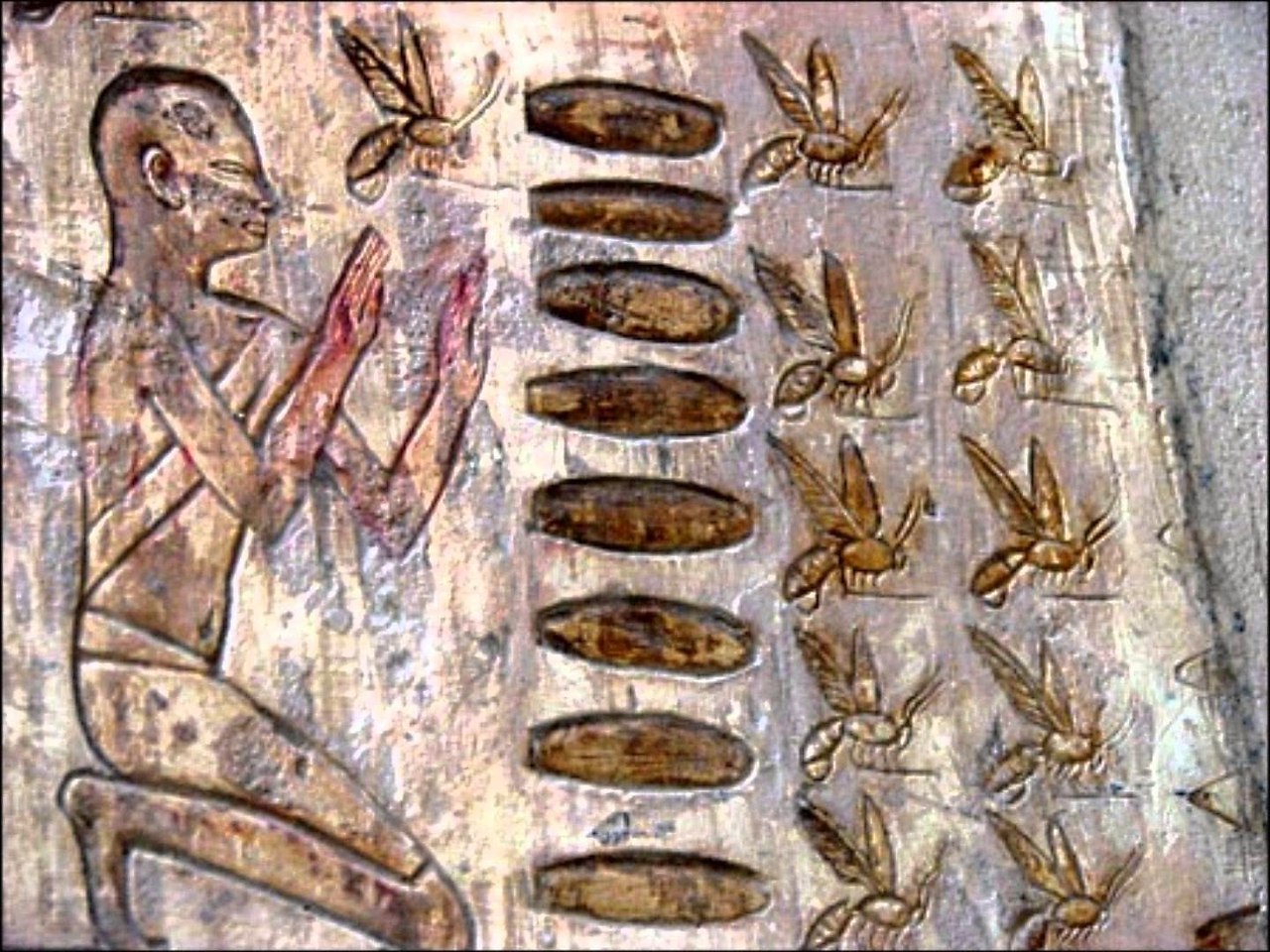 Пчеловодство в древнем Египте