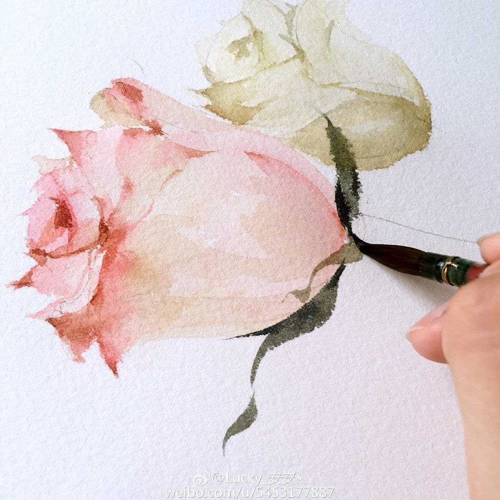 Поэтапное рисование розы акварелью