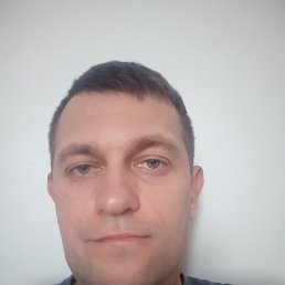 , 43 , 