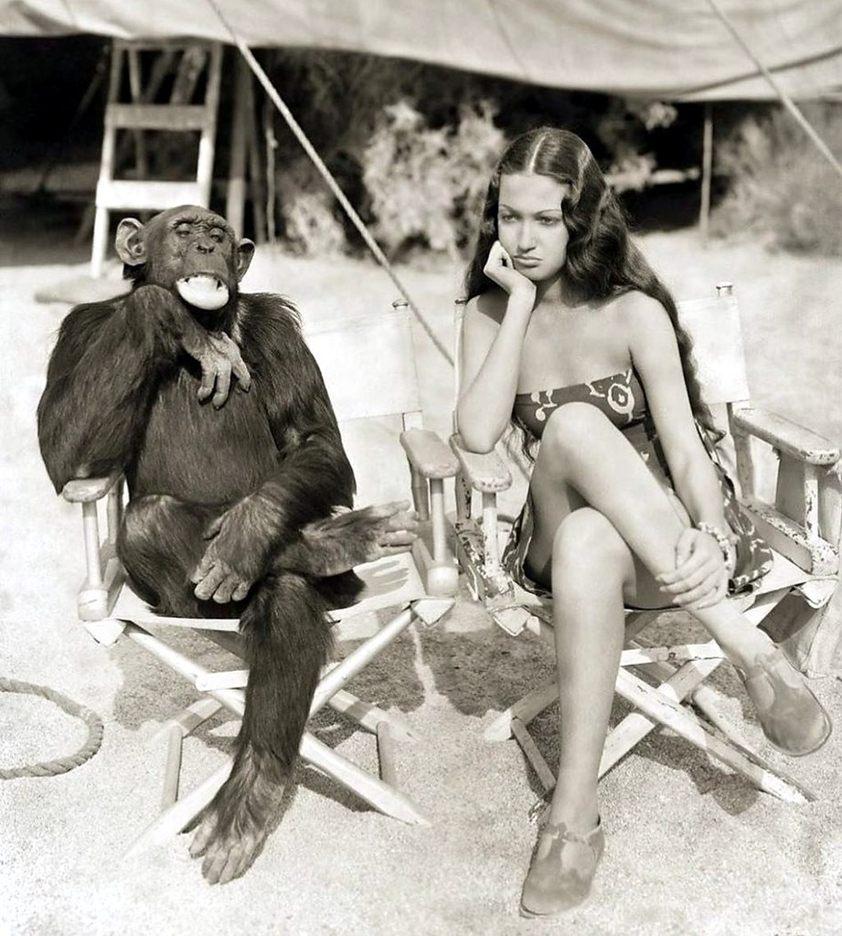 Дороти Ламур и шимпанзе