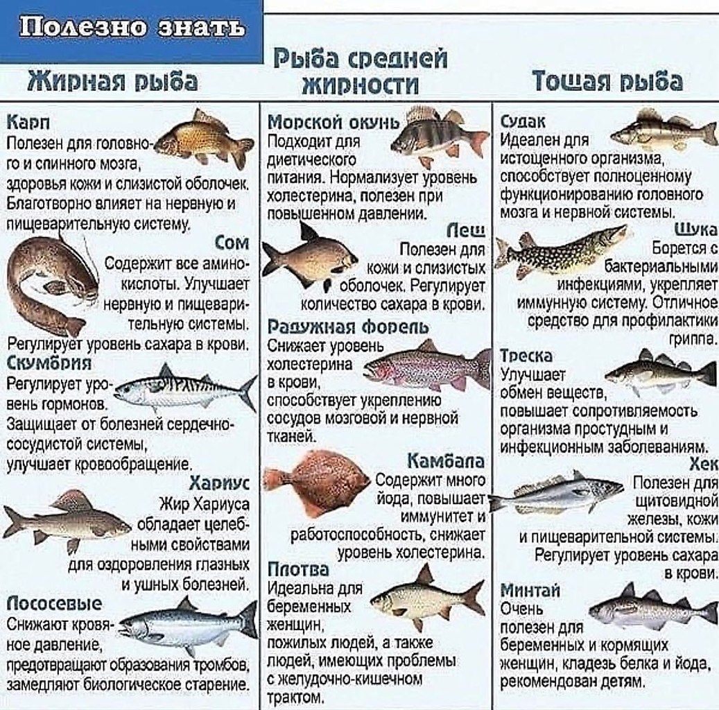 Карп едим при диете быстро Карп едим при диете быстро