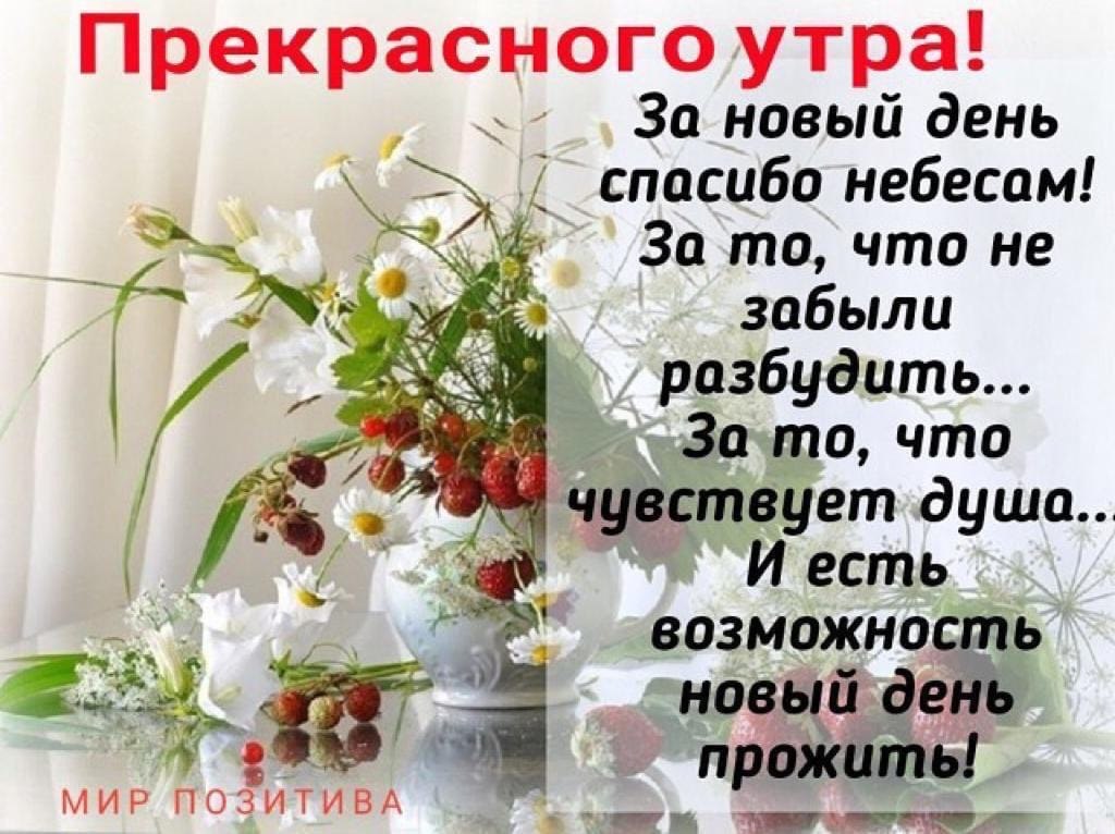 Гороскоп Доброе Утро 23.03 2024 Гороскоп Доброе Утро 23.03 2024