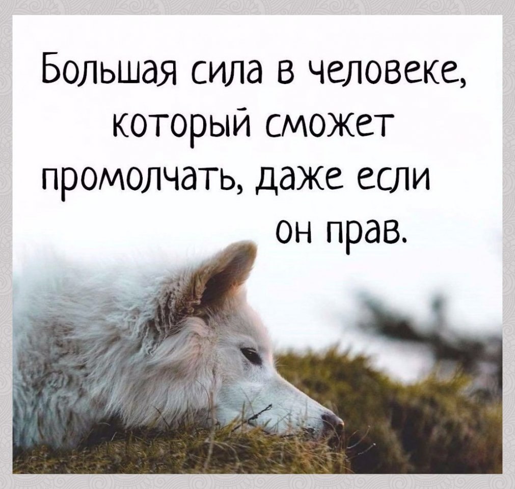 Даже если он по каким. Мужчина должен быть старше. Даже если он по каким. Лучше сказать чем промолчать. Даже если он по каким.
