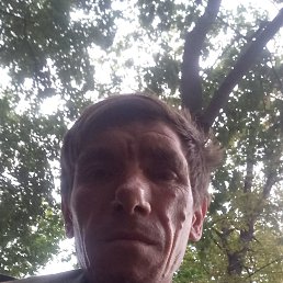 , 47 , 