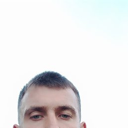 , 32, 