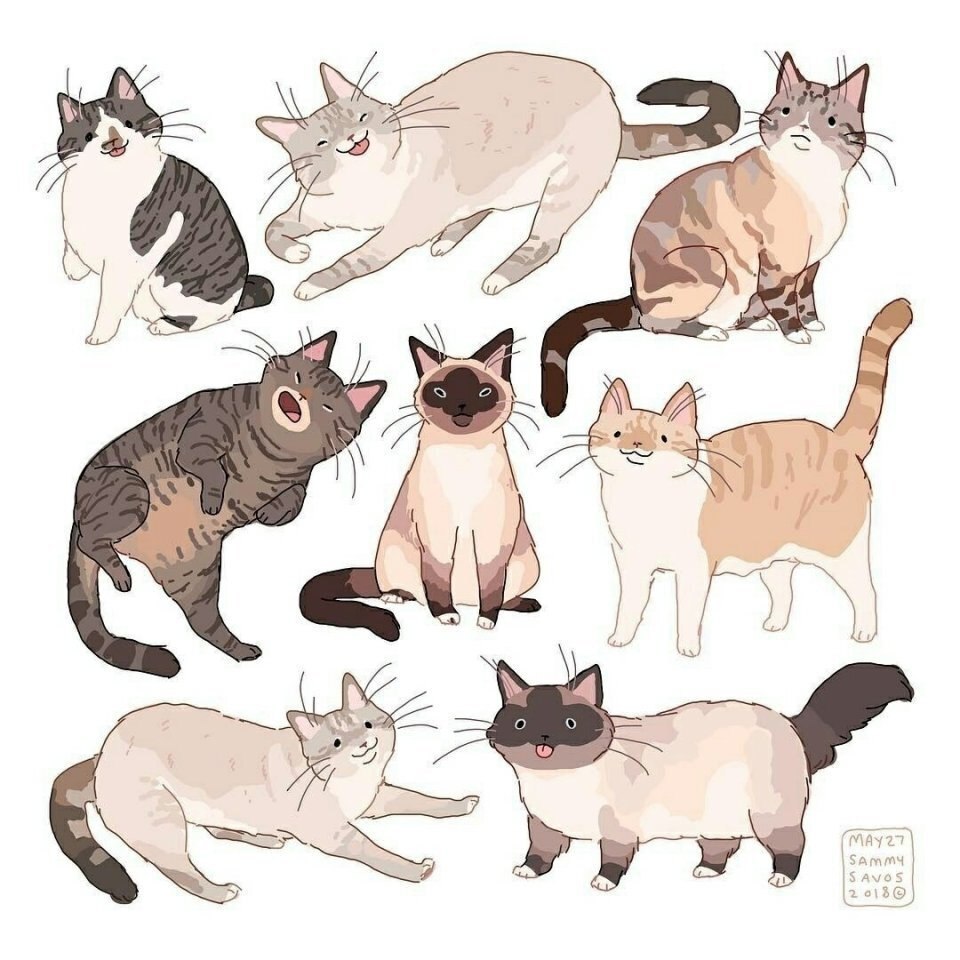 Референсы кошек
