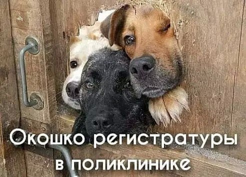 2908408606.jpg