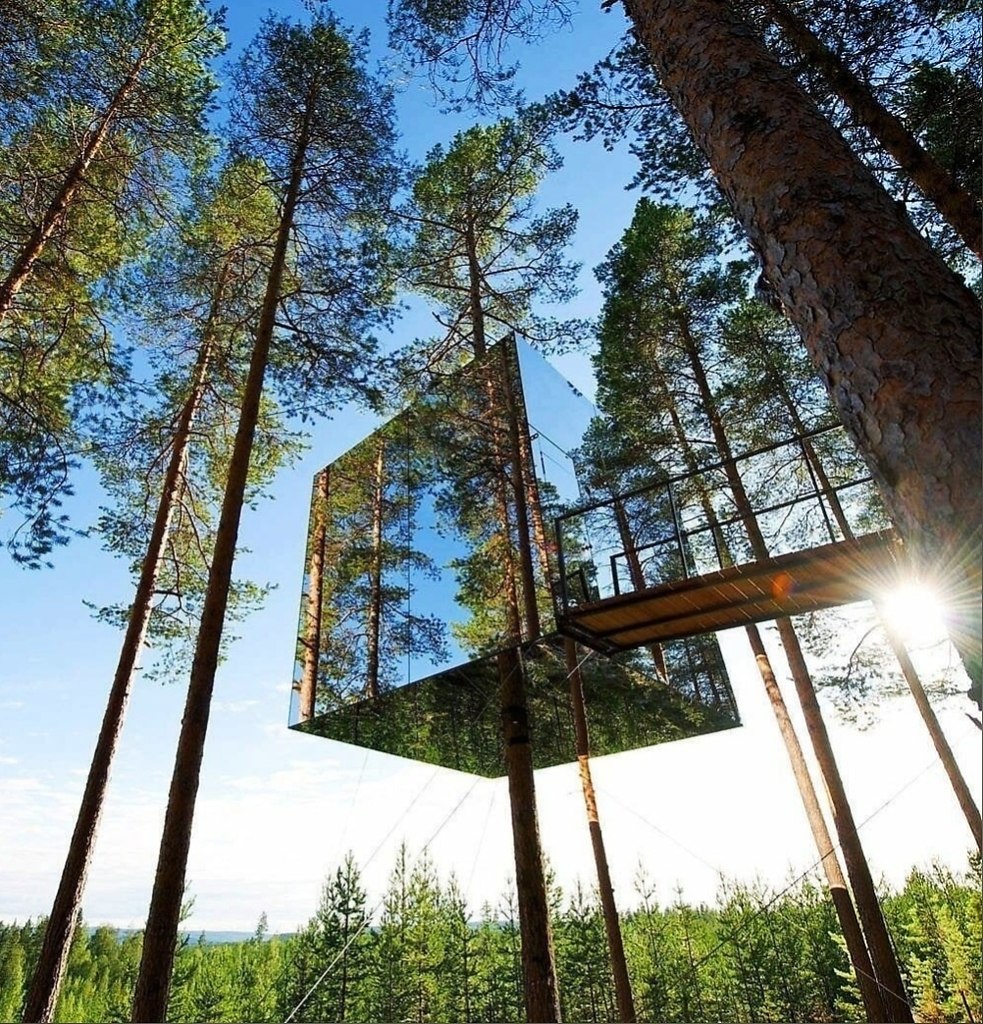 Tree hotel швеция харадс презентация