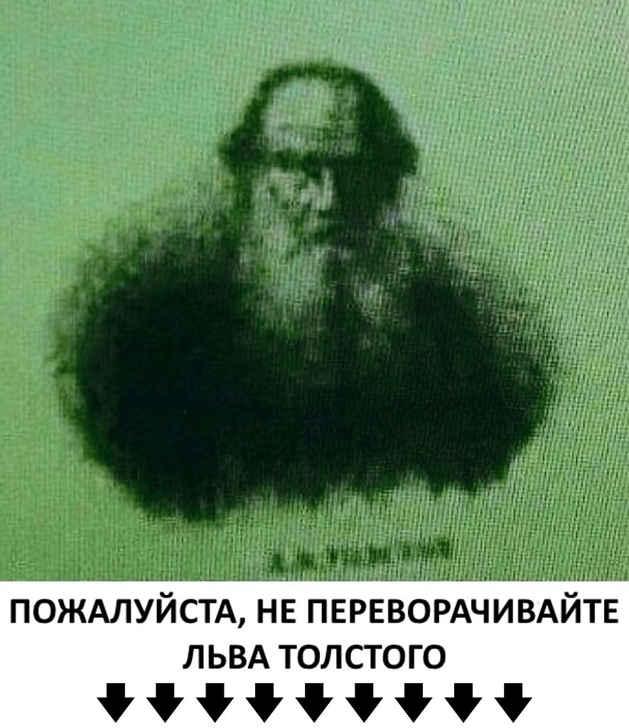 Никогда не была толстой. Перевернутый портрет Льва Толстого. Лев толстой перевернутый портрет. Дети не переворачивайте портрет Льва Толстого. Перевернутый портрет Льва Николаевича Толстого.
