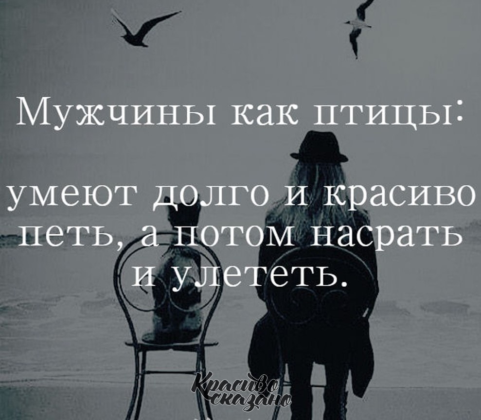 Мужчины как птицы умеют долго и красиво петь а потом нагадить и улететь картинки