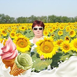 , 51, 