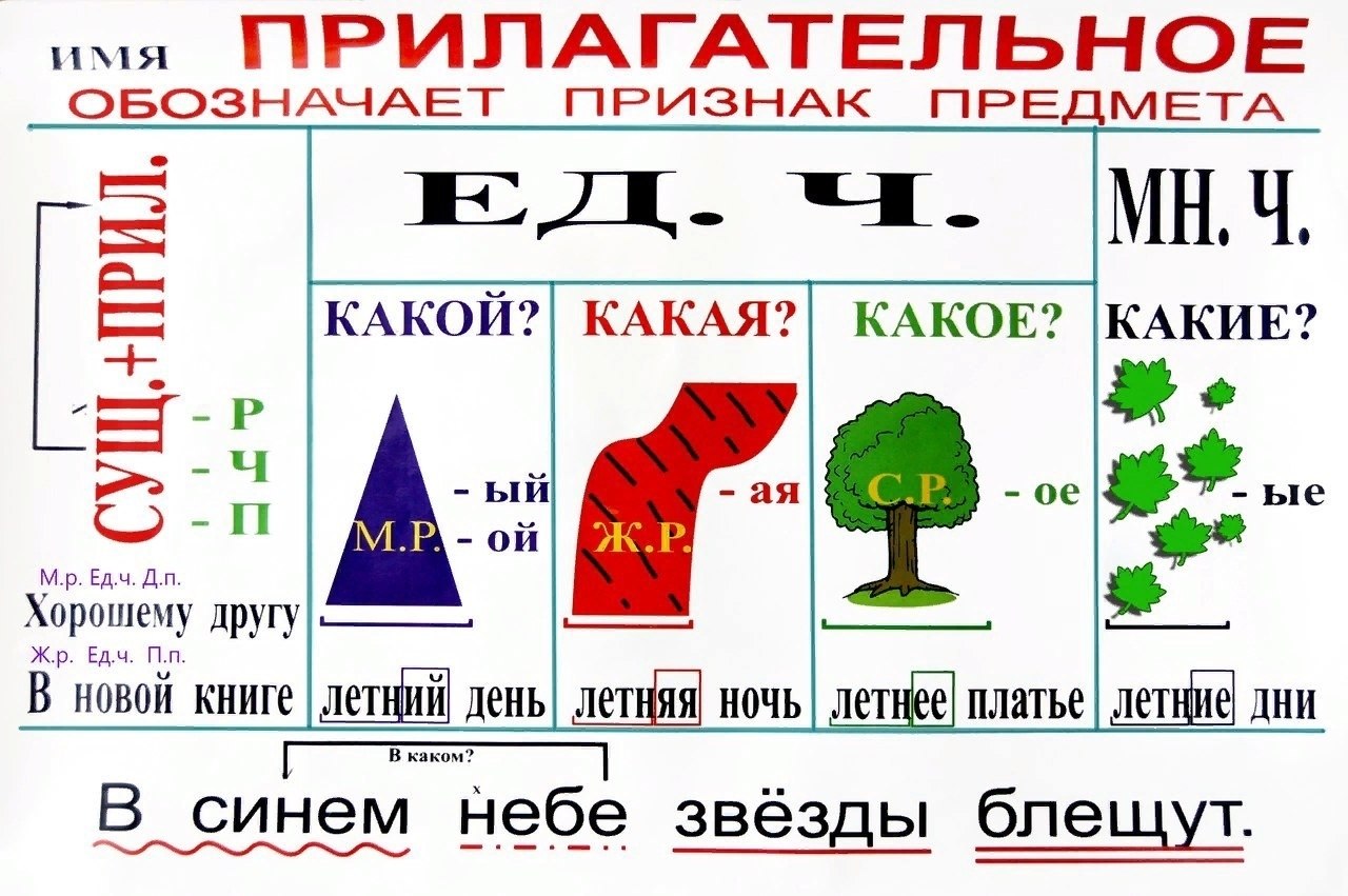 Прилагательное в таблицах и схемах русский язык