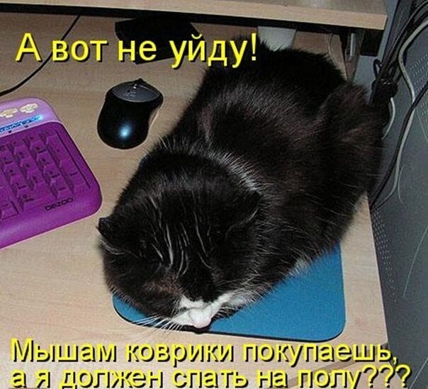 Спать картинки прикольные с надписями