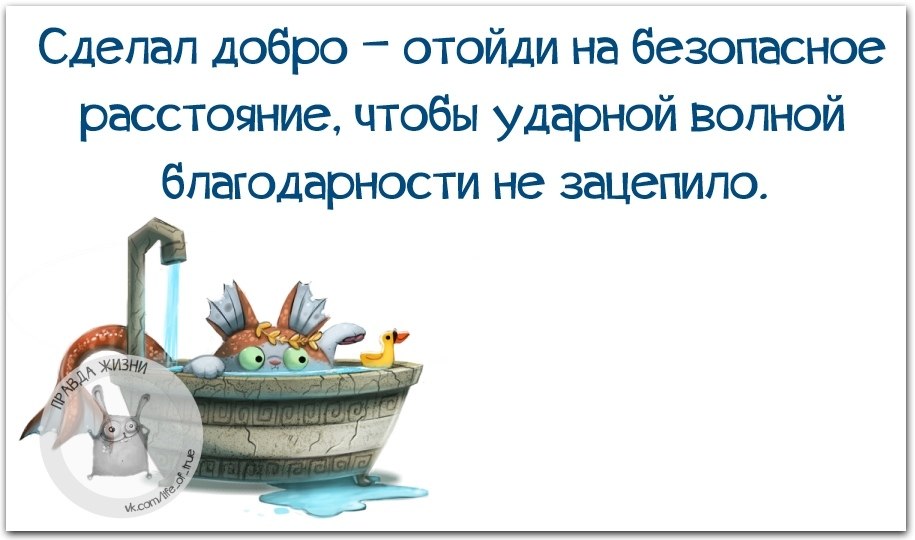 Сделал добро отойди на безопасное расстояние чтобы ударной волной благодарности не зацепило картинки