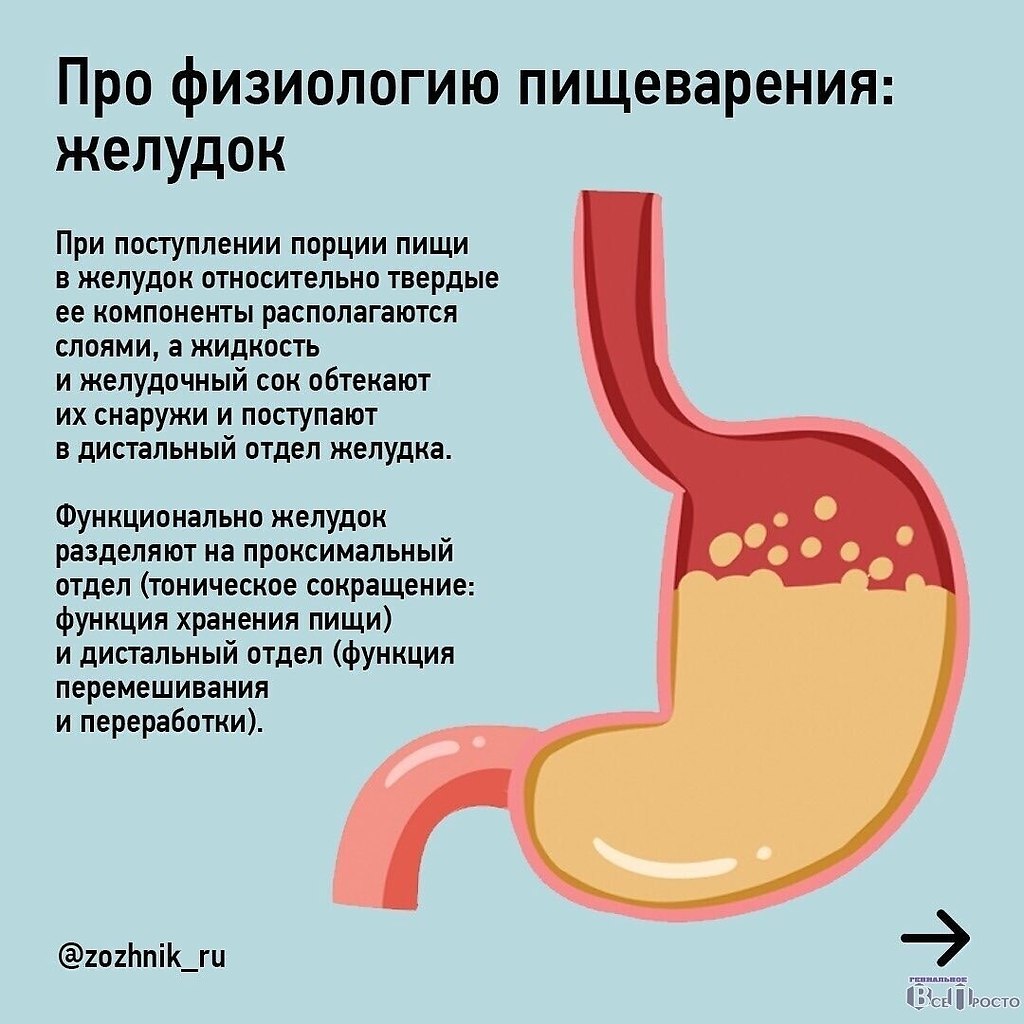 еда для того чтобы стоял член фото 117