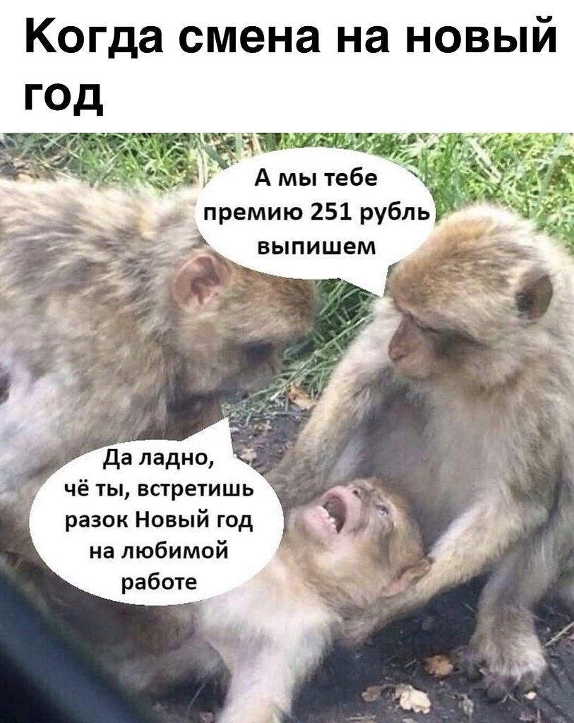 Ярослава и обезьяна