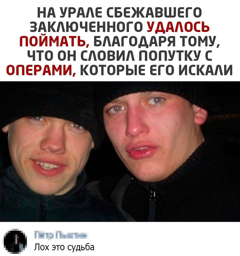 Картинка лох это судьба