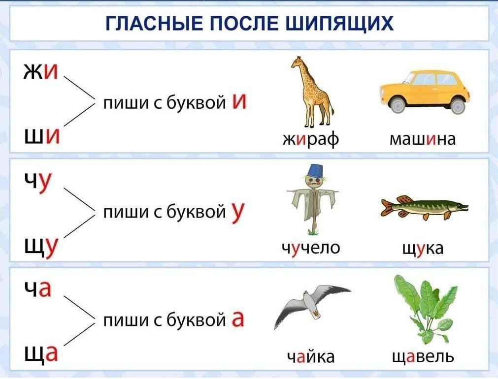 Русский язык в картинках для школьников