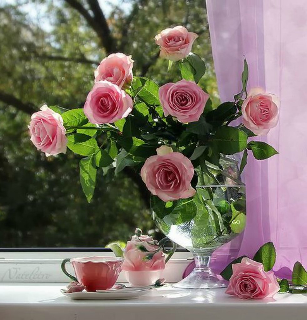 Прекрасного утра с цветами. Цветы на окне. Утренние цветы. Букет цветов на подоконнике.