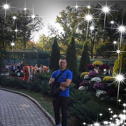 , 43 , 