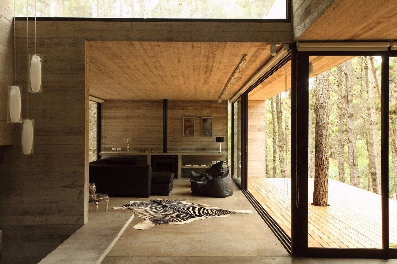 Дизайнерские дома из дерева и бетона