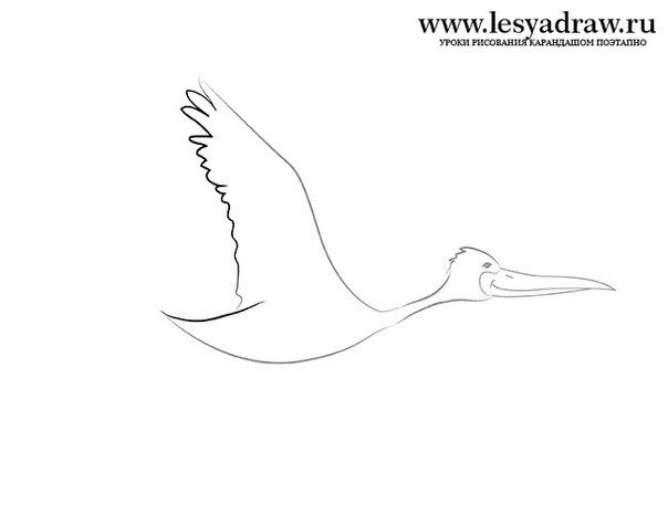Рисунок летящего лебедя карандашом - 81 фото