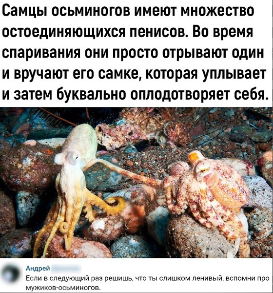 2905418602.jpg