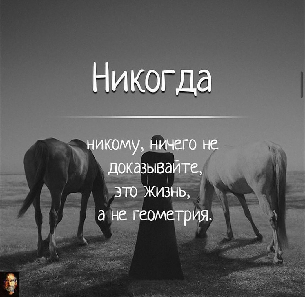 2901401334.jpg