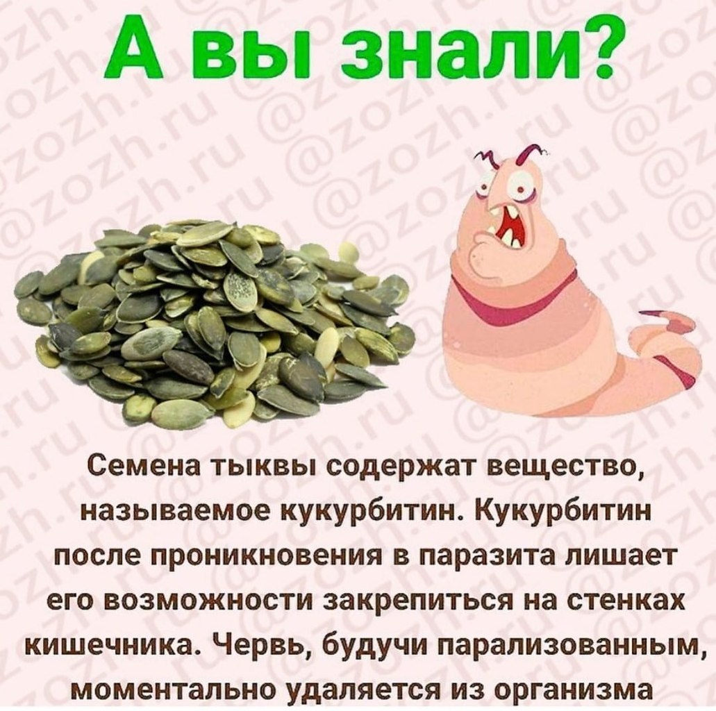 Чем полезны тыквенные семечки