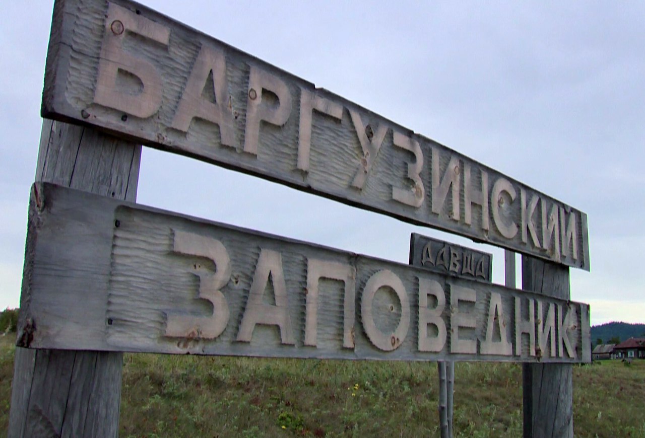 Самый старый заповедник. Баргузинский заповедник табличка. Баргузинский заповедник вывеска. Баргузинский заповедник 1917 год. Баргузинский заповедник 1916.