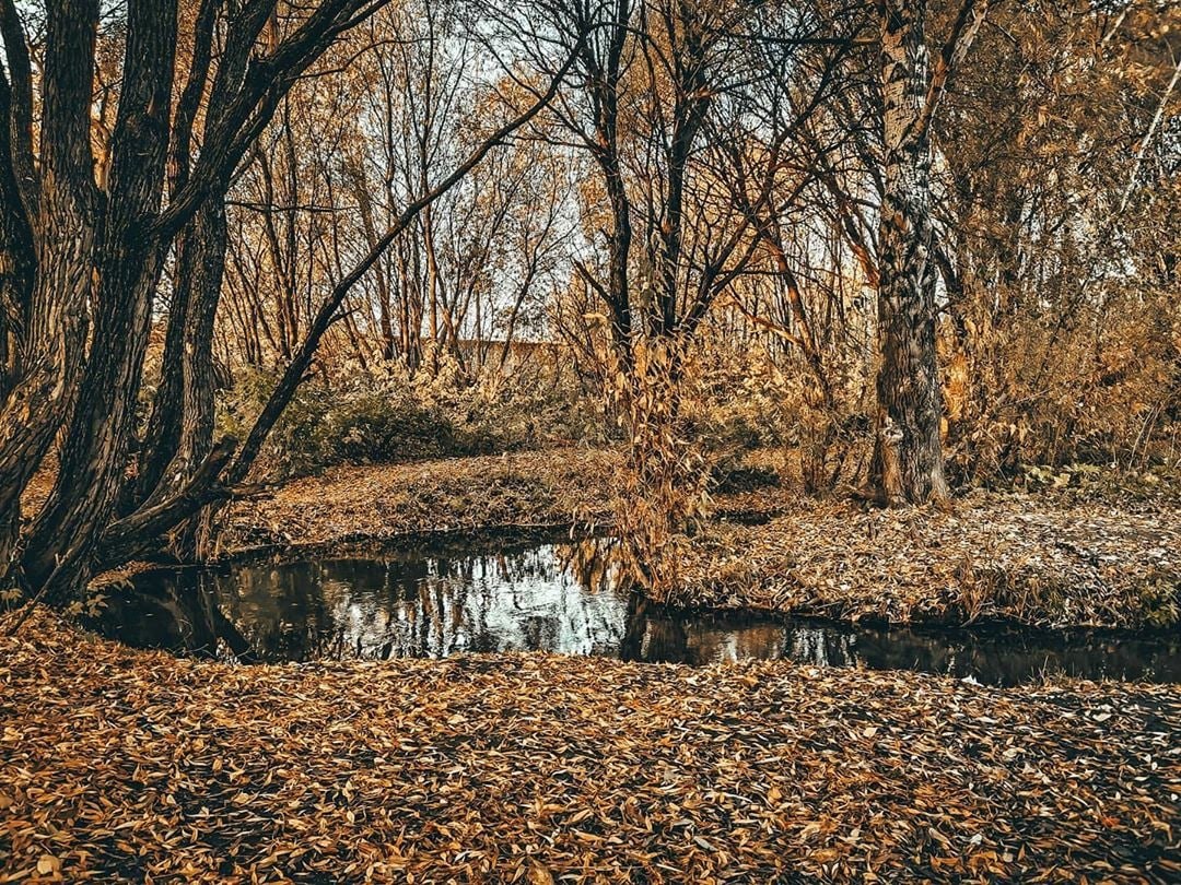 Локации для фото киров