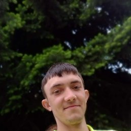 , 29, 