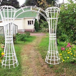 Фото Александр, Новосибирск Александр, Новосибирск