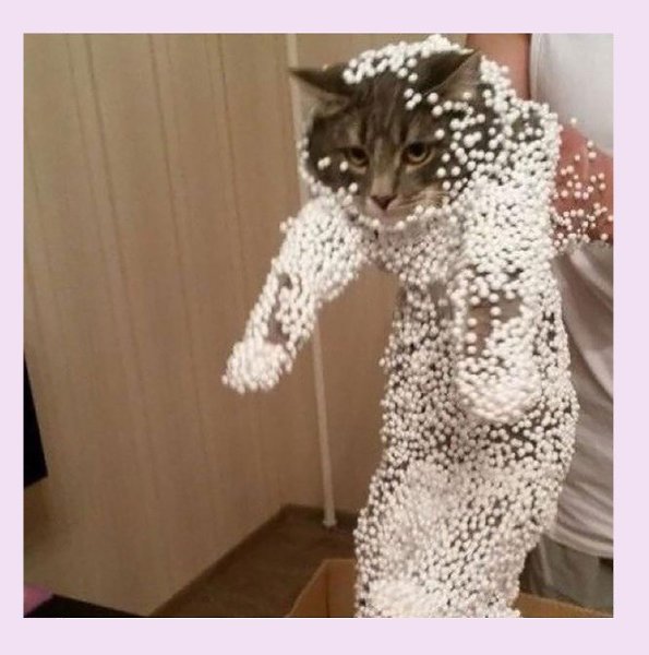 Ох уж эти котики))) Как только умудряются так залезть))
