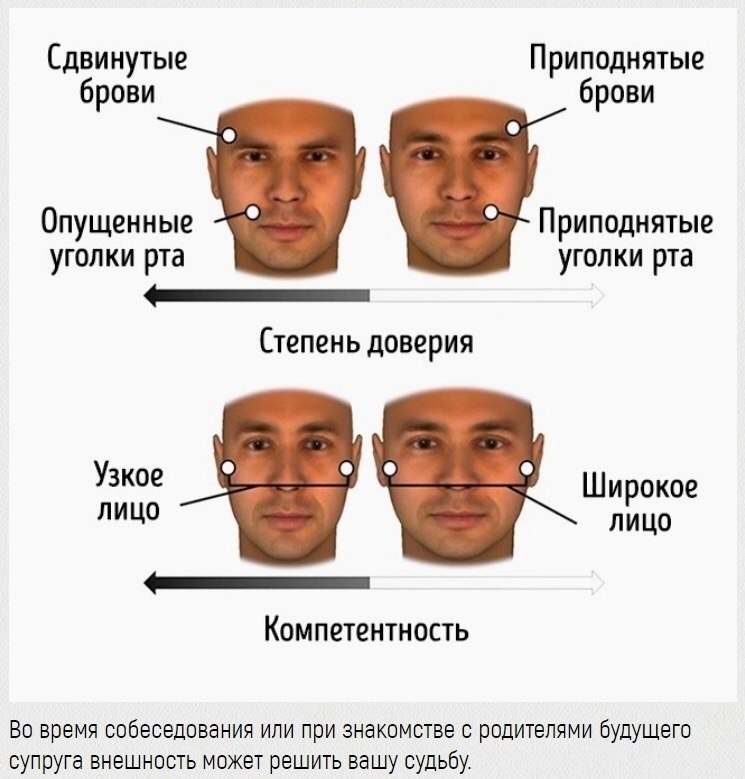 Как влияет форма бровей на выражение лица