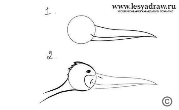 Аист рисунок поэтапно