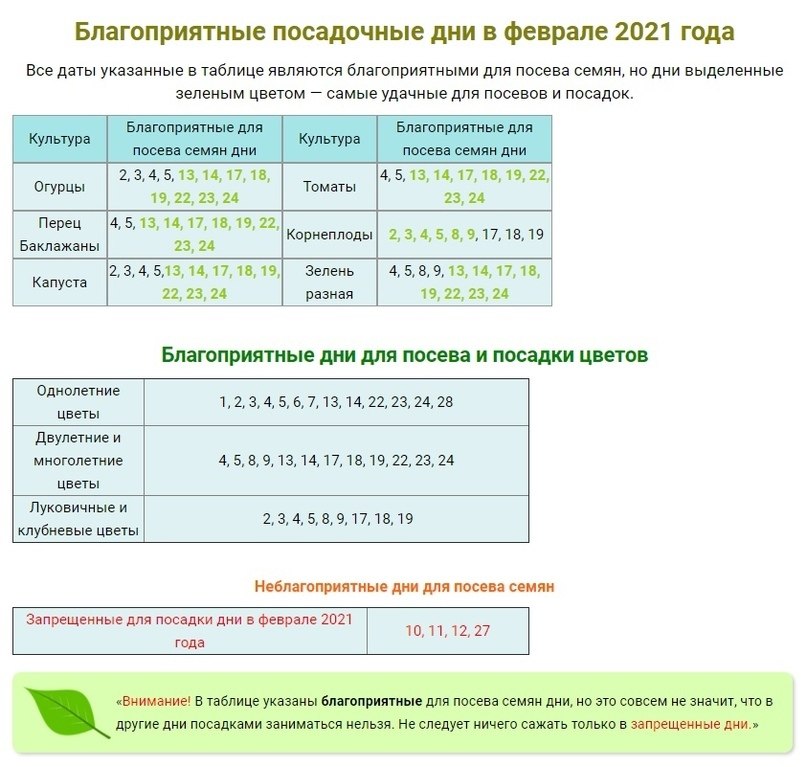 Посадочные дни в феврале 2024. Календарь садовода и огородника на февраль 2021. Благоприятные дни для посева в феврале. Благоприятные дни в феврале 2021. Благоприятные дни для посева семян в феврале 2022.