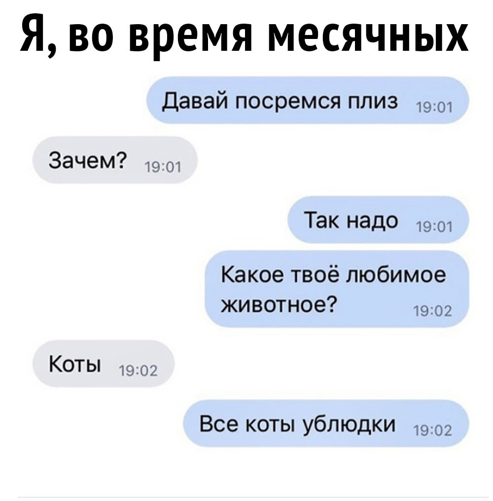 Какое твое животное. Женская логика ВК. Все коты ублюдки. Почему так смешно. Какое твое любимое животное.