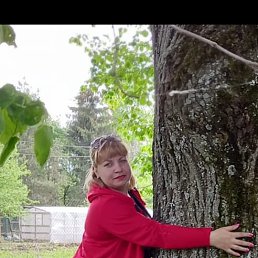 Елена, 34 года, Боровск