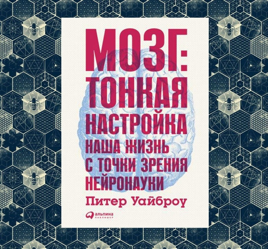 Книги которые легко читаются. Мозг тонкая настройка наша жизнь с точки зрения нейронауки. Мозг тонкая настройка Питер Уайброу. Книга мозг. Тонкие настройки мозга.