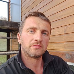 , 43 , 