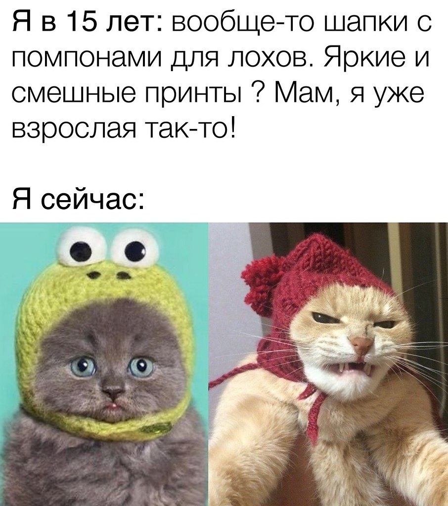 17 поняла. Коты в шапочках хех хих хаха.